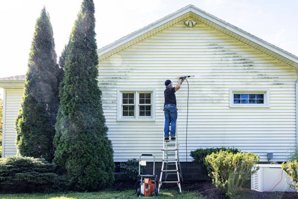 Spring Cleaning in Oneida, NY